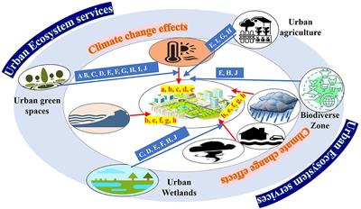 Urban ecosystem services and climate change: a dynamic interplay